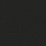 Vidurnakčio juoda 1980L