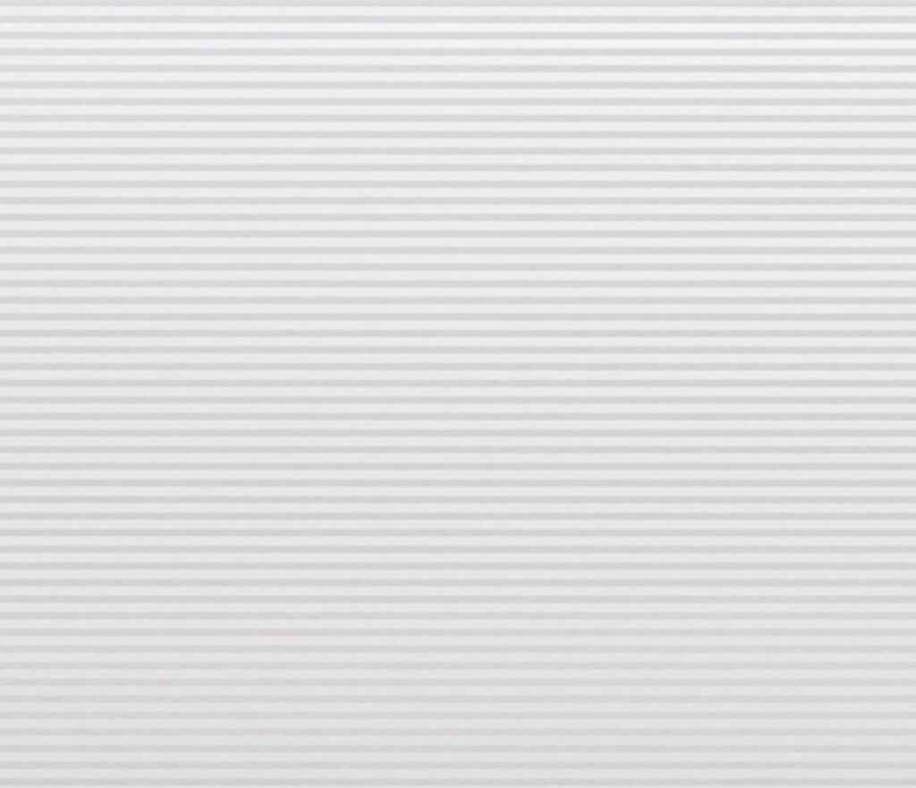 Mikrojuosta (Microrib)